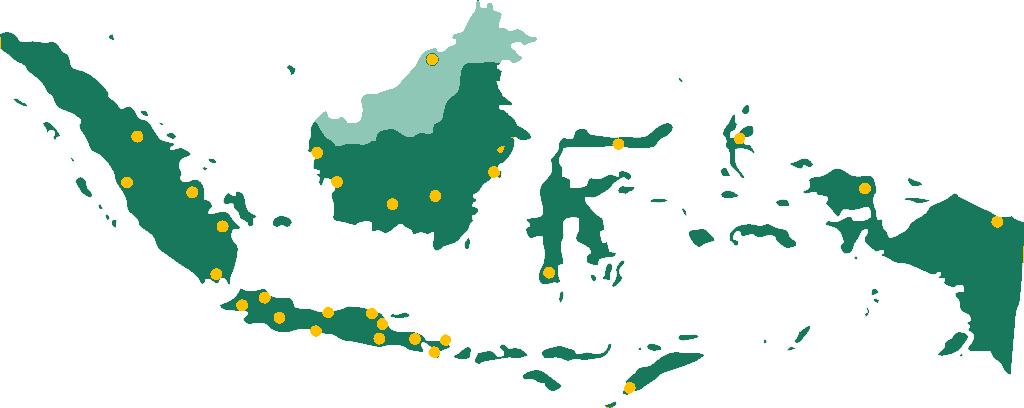 Pelatihan Cuci Sepatu Terdekat
